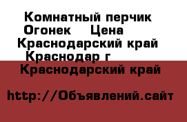 Комнатный перчик “Огонек“ › Цена ­ 50 - Краснодарский край, Краснодар г.  »    . Краснодарский край